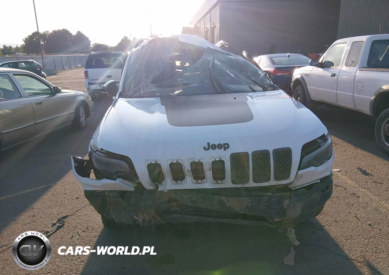 2019 Jeep Cherokee Trailhawk 4X4 VIN:1C4PJMBXXKD228516 - 11