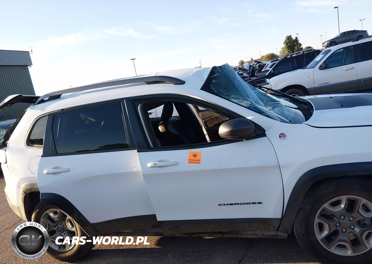 2019 Jeep Cherokee Trailhawk 4X4 VIN:1C4PJMBXXKD228516 - 12