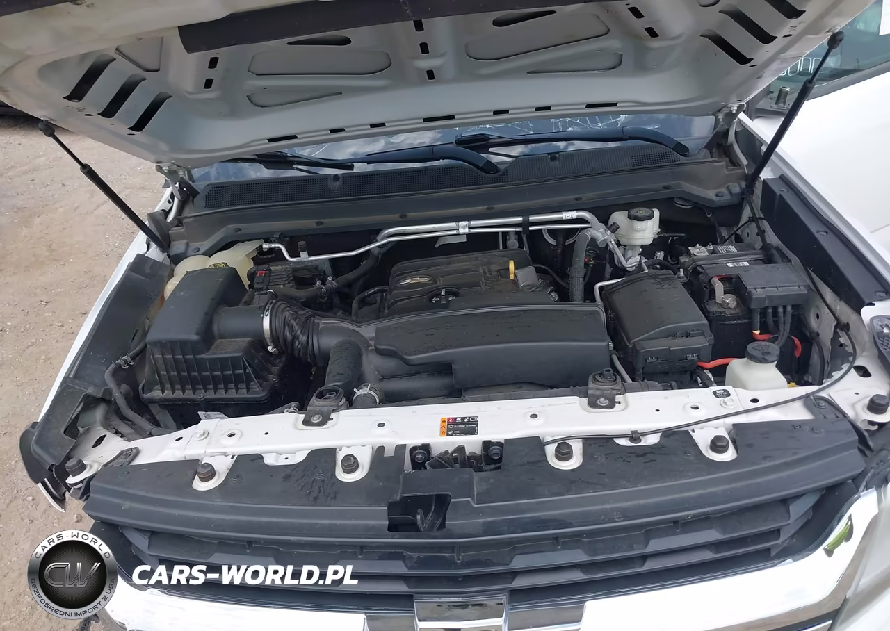 2018 Chevrolet Colorado Wt VIN:1GCHSBEA1J1251079 - 10