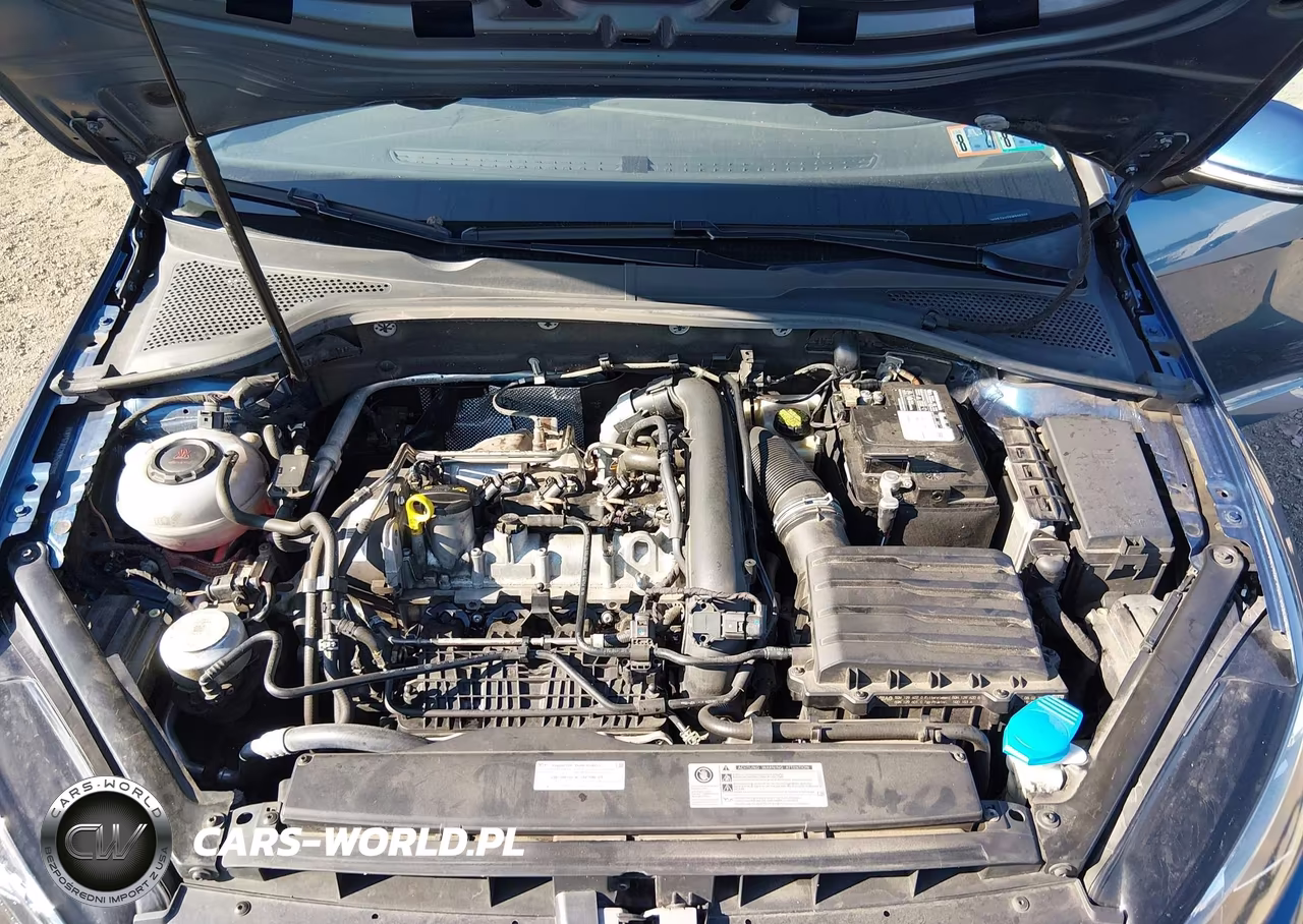 2019 Volkswagen Golf Sportwagen 1.4T S-1.4T Se VIN:3VWY57AU2KM508305 - 10