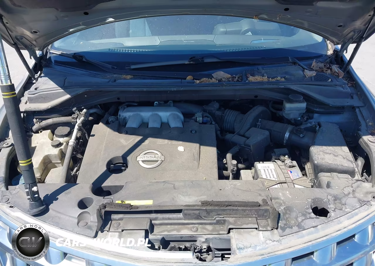 2004 Nissan Murano Sl VIN:JN8AZ08T94W218261 - 10