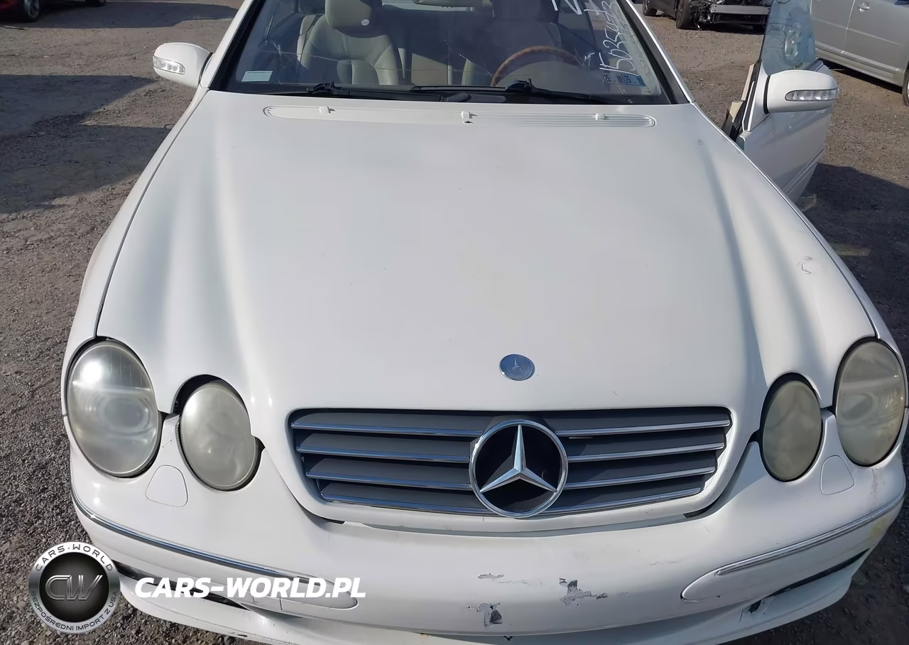 2003 Mercedes-Benz Cl 500 VIN:WDBPJ75J23A035657 - 10