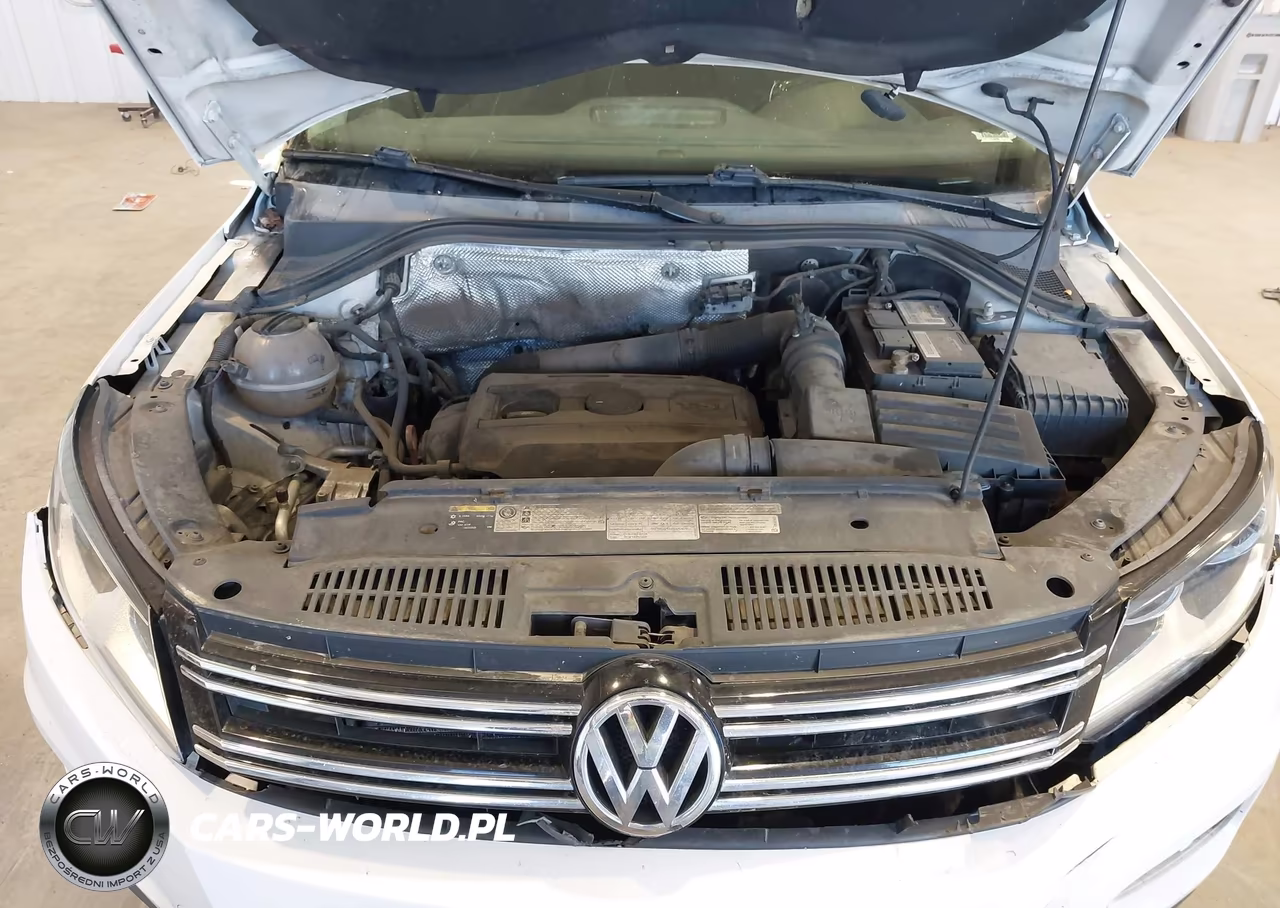 2013 Volkswagen Tiguan S VIN:WVGBV3AX0DW090871 - 10