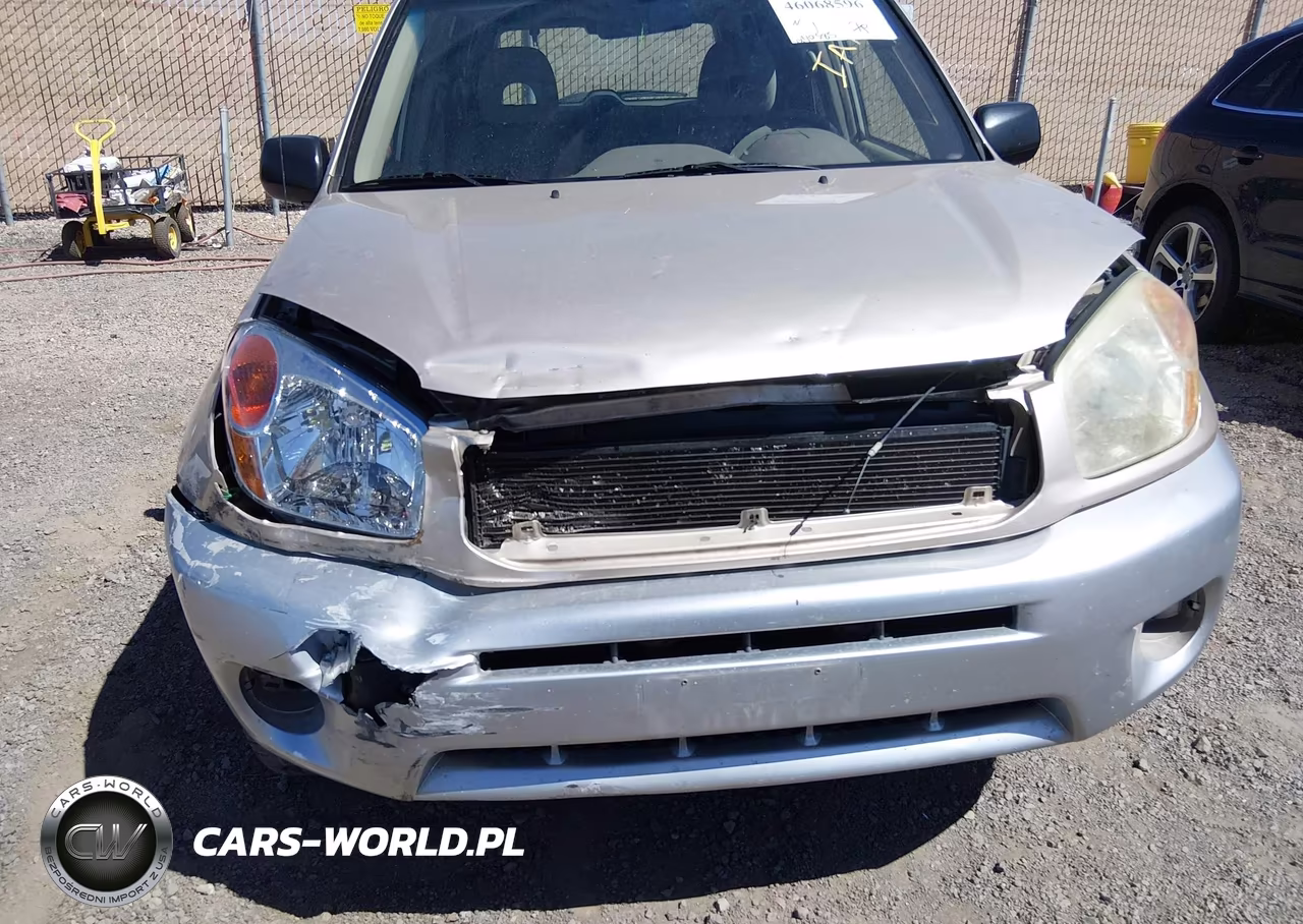 2004 Toyota Rav4 VIN:JTEGD20V440036706 - 6