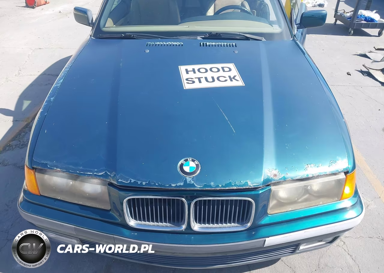 1994 BMW 325 Ic VIN:WBABJ5325RJC79209 - 10