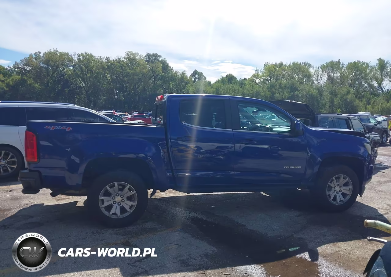 2016 Chevrolet Colorado Lt VIN:1GCGTCE30G1173029 - 14
