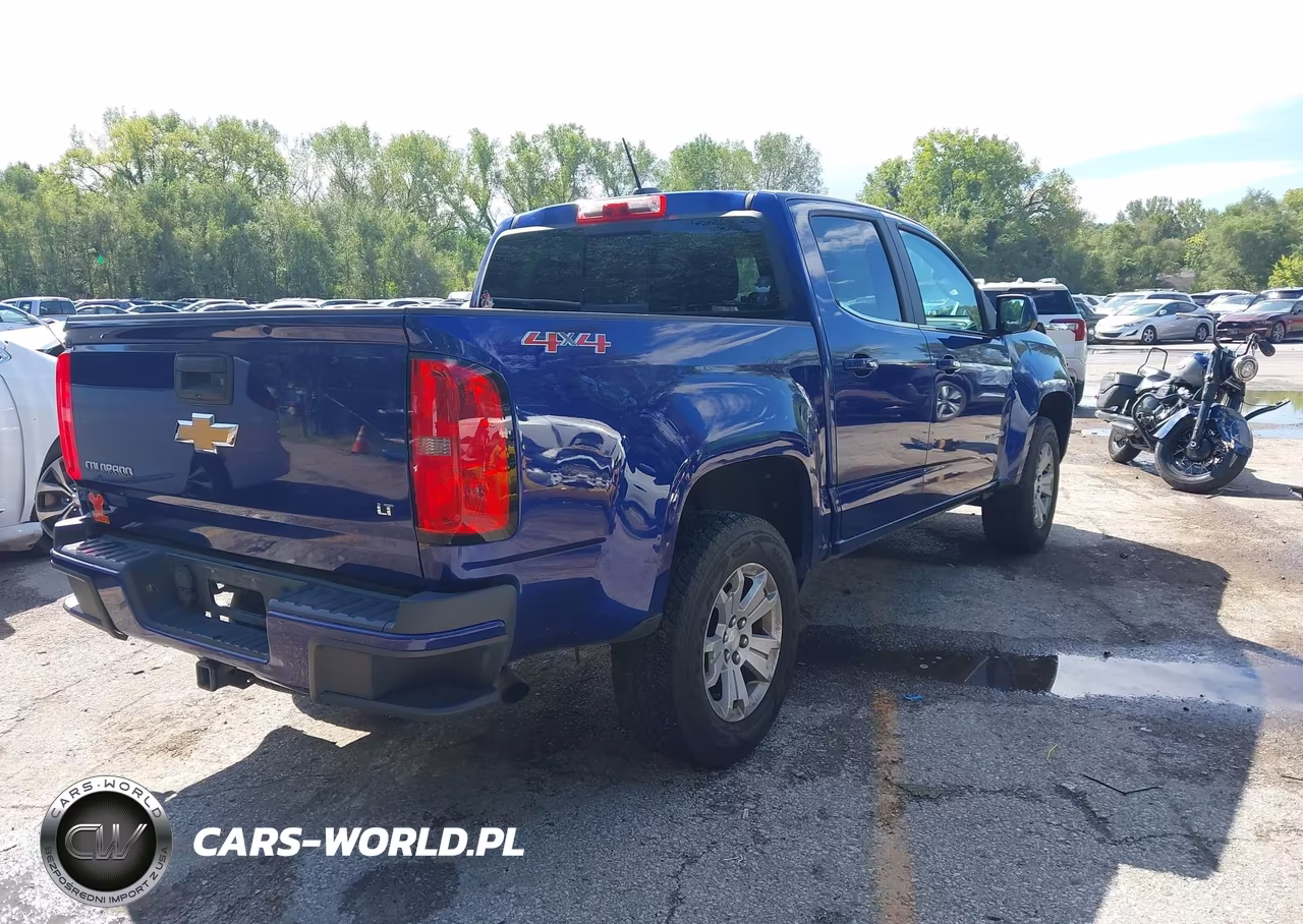 2016 Chevrolet Colorado Lt VIN:1GCGTCE30G1173029 - 4