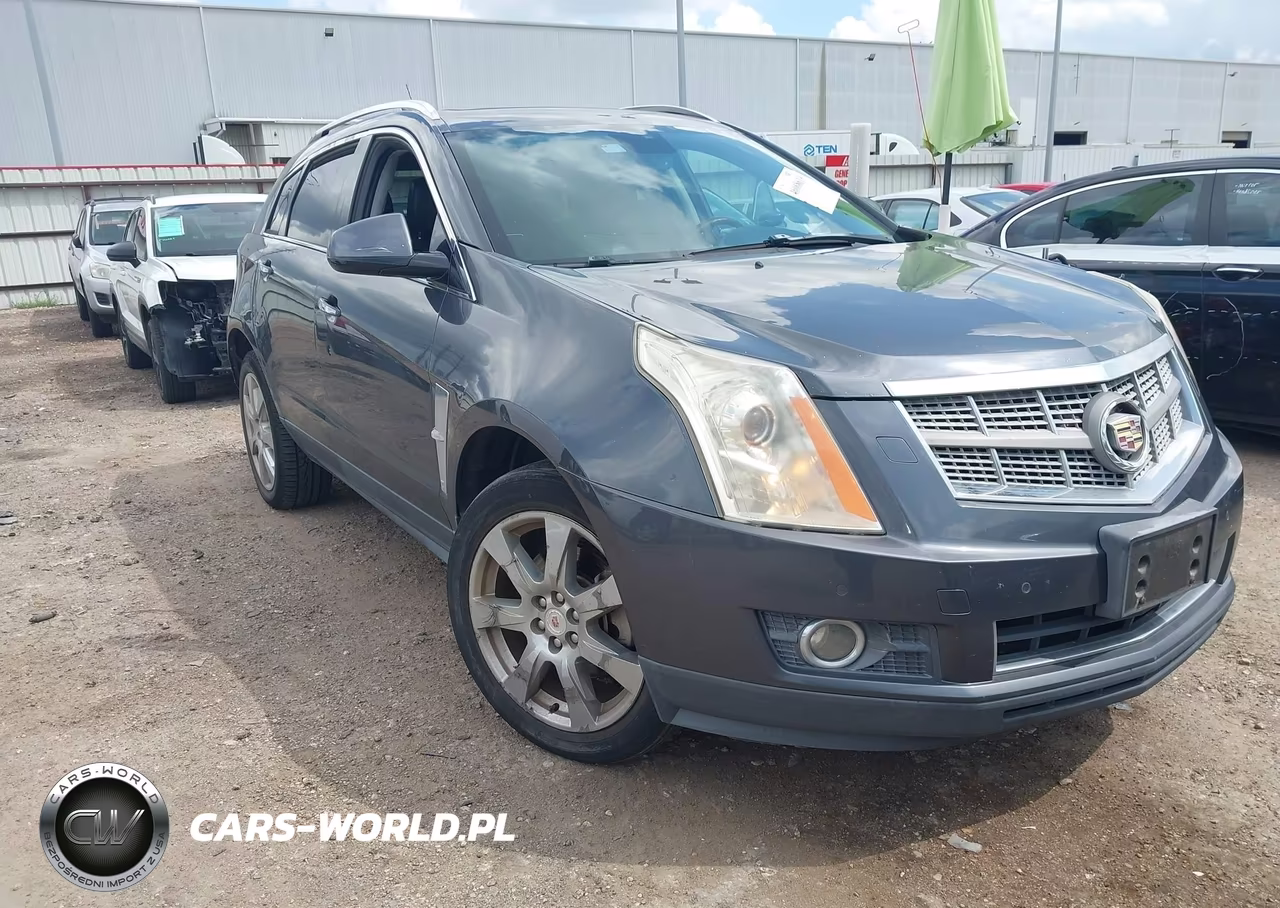2010 Cadillac Srx Performance Collection VIN:3GYFNBEY9AS613180 - 1