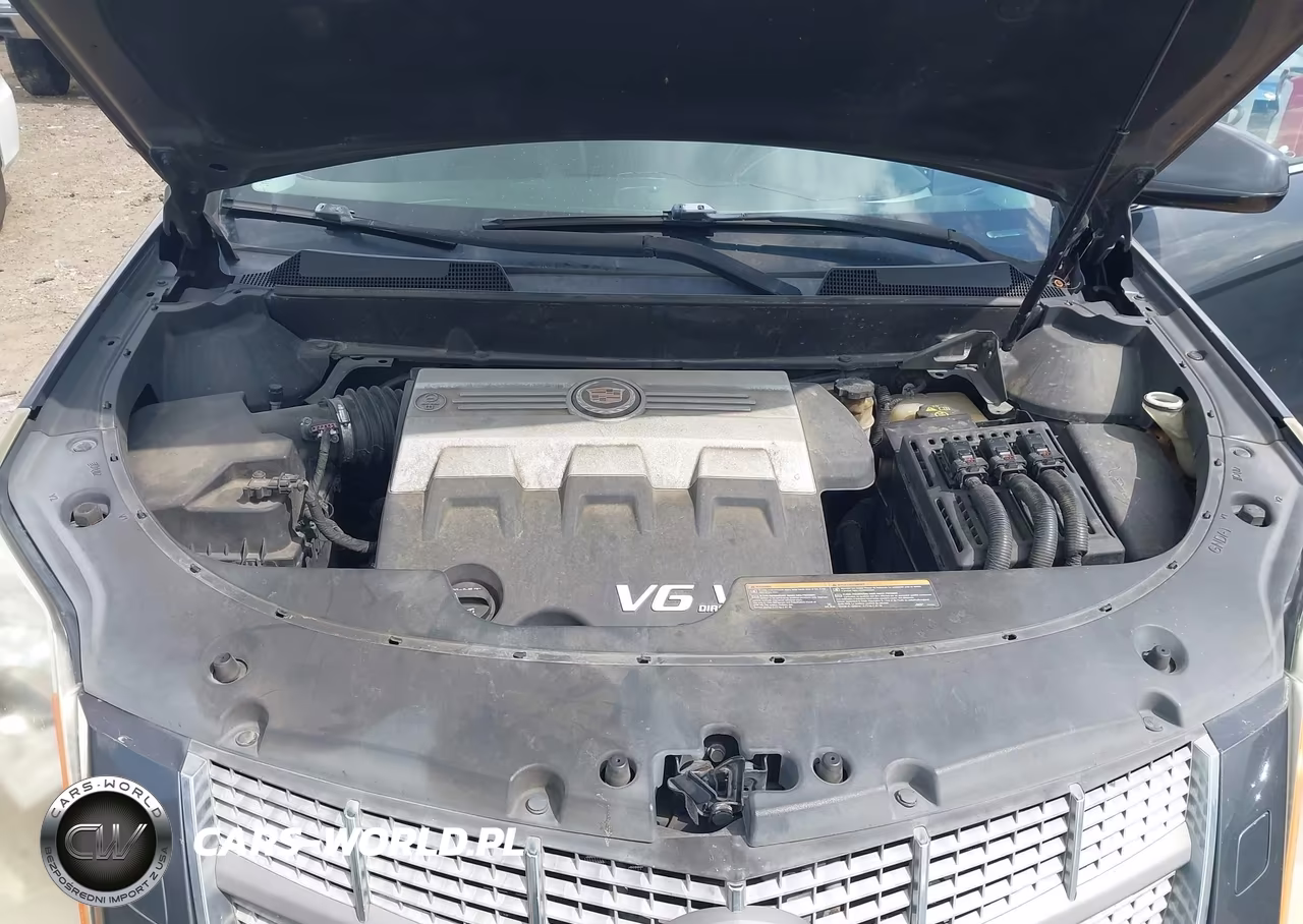 2010 Cadillac Srx Performance Collection VIN:3GYFNBEY9AS613180 - 10