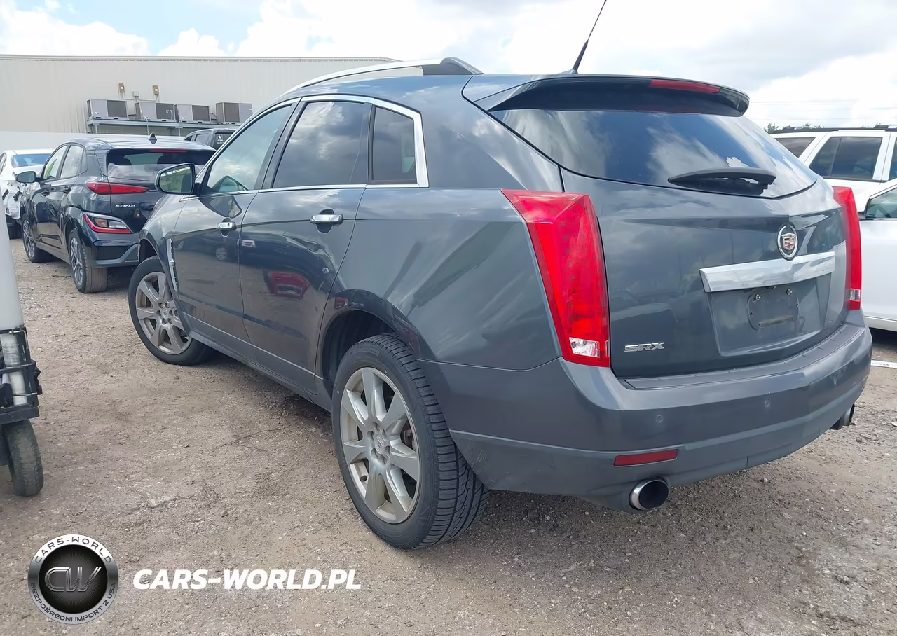 2010 Cadillac Srx Performance Collection VIN:3GYFNBEY9AS613180 - 3