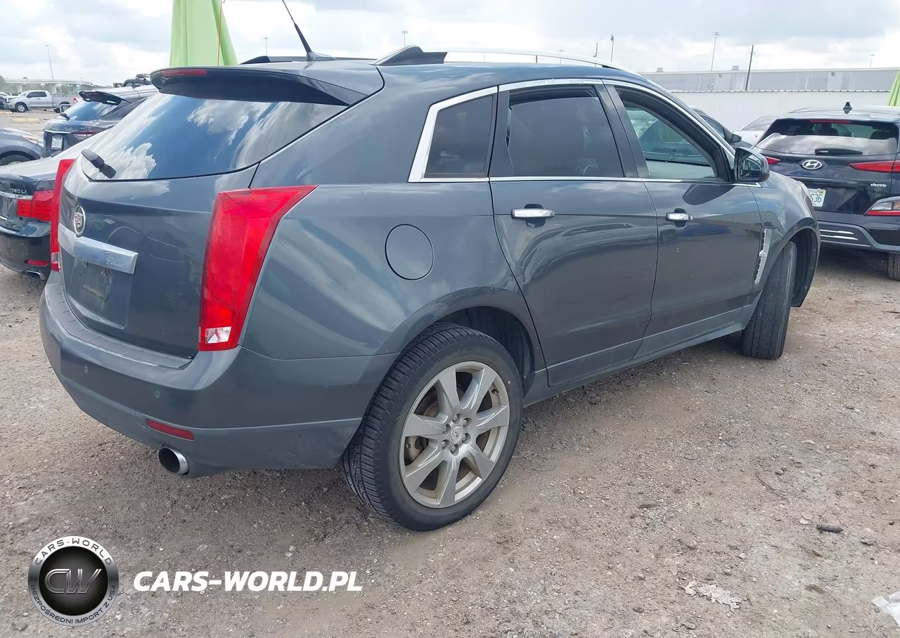 2010 Cadillac Srx Performance Collection VIN:3GYFNBEY9AS613180 - 4