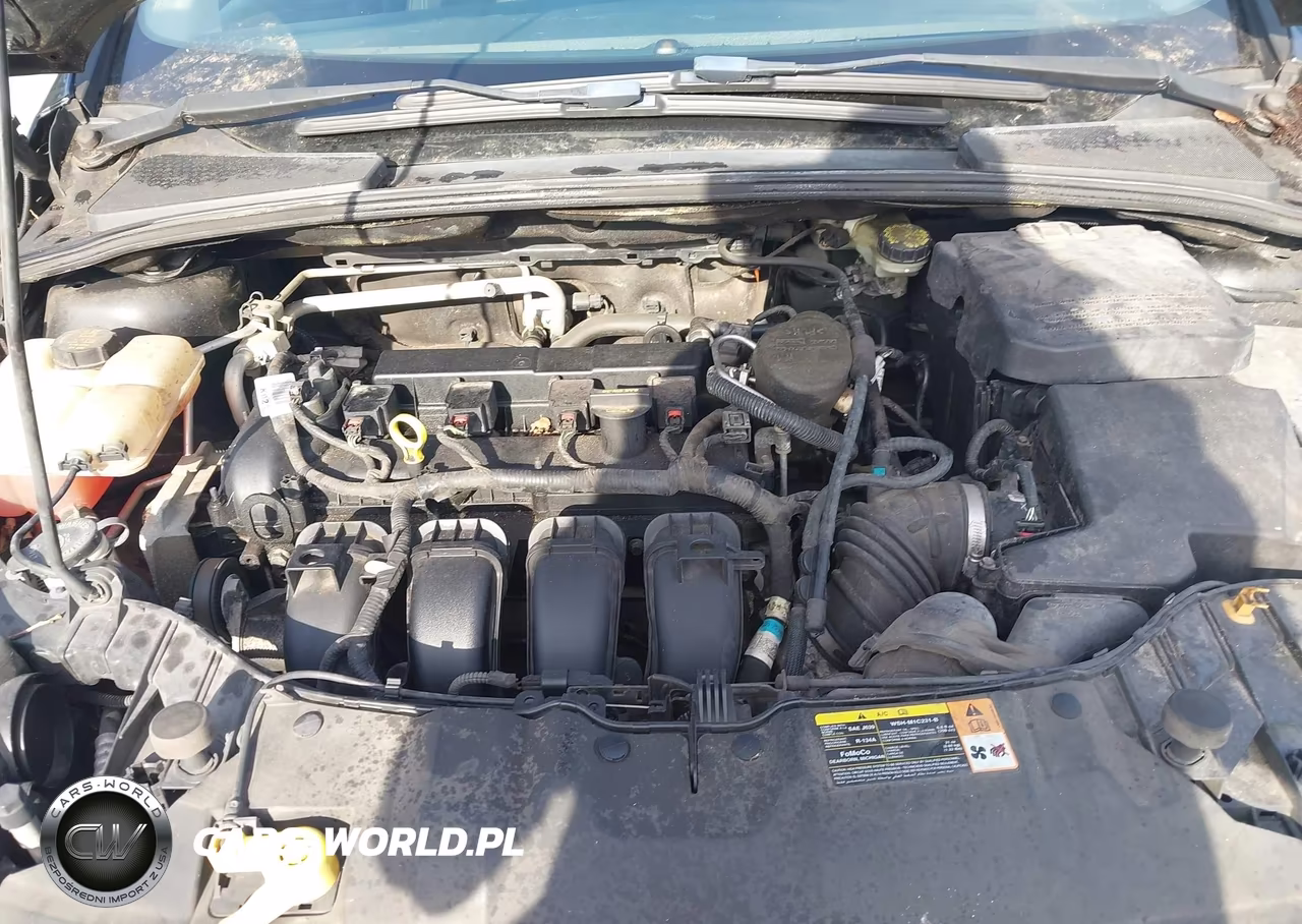 2013 Ford Focus Titanium VIN:1FADP3N26DL371456 - 10