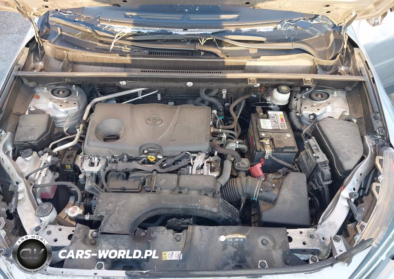 2019 Toyota Rav4 Xle VIN:JTMW1RFV4KD510300 - 10