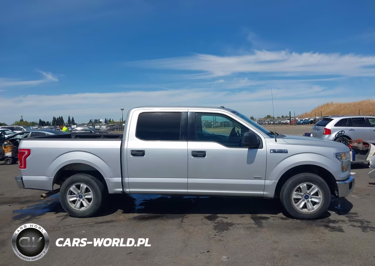 2017 Ford F-150 Xlt VIN:1FTEW1CP7HKC65842 - 13