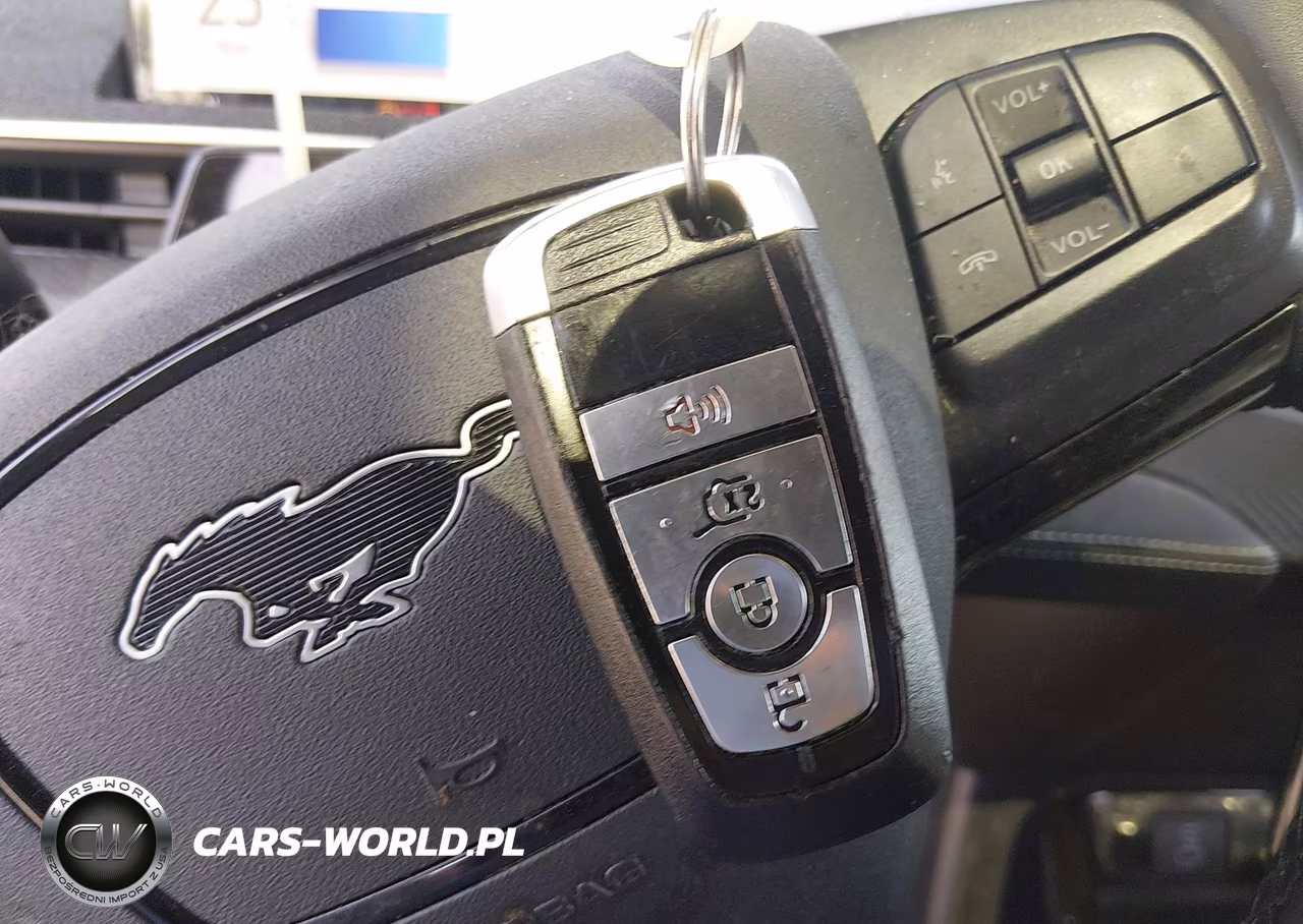 2024 Ford Mustang Mach-E Premium VIN:3FMTK3R70RMA22725 - 11