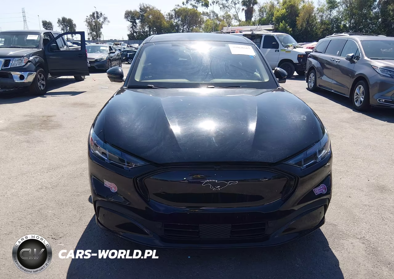 2024 Ford Mustang Mach-E Premium VIN:3FMTK3R70RMA22725 - 12