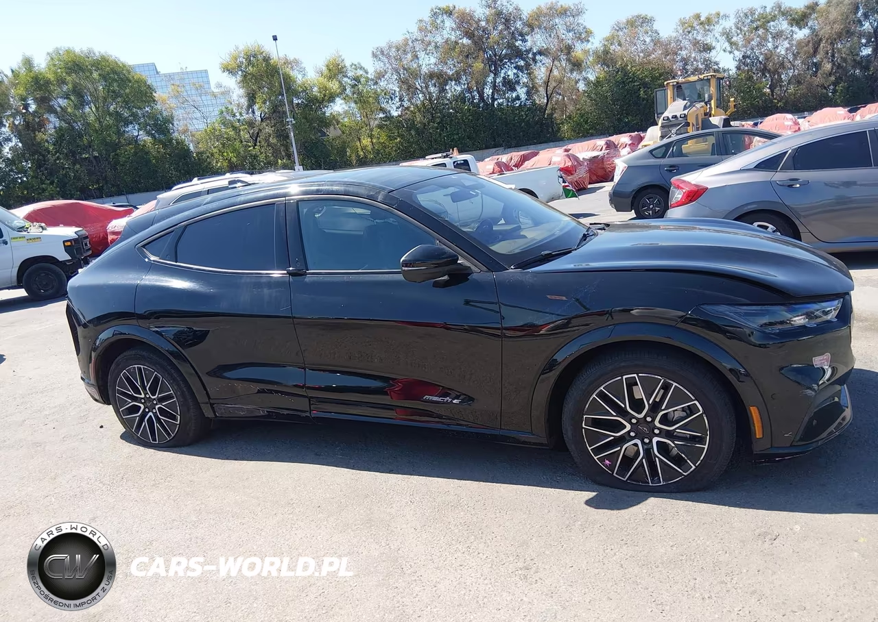 2024 Ford Mustang Mach-E Premium VIN:3FMTK3R70RMA22725 - 13