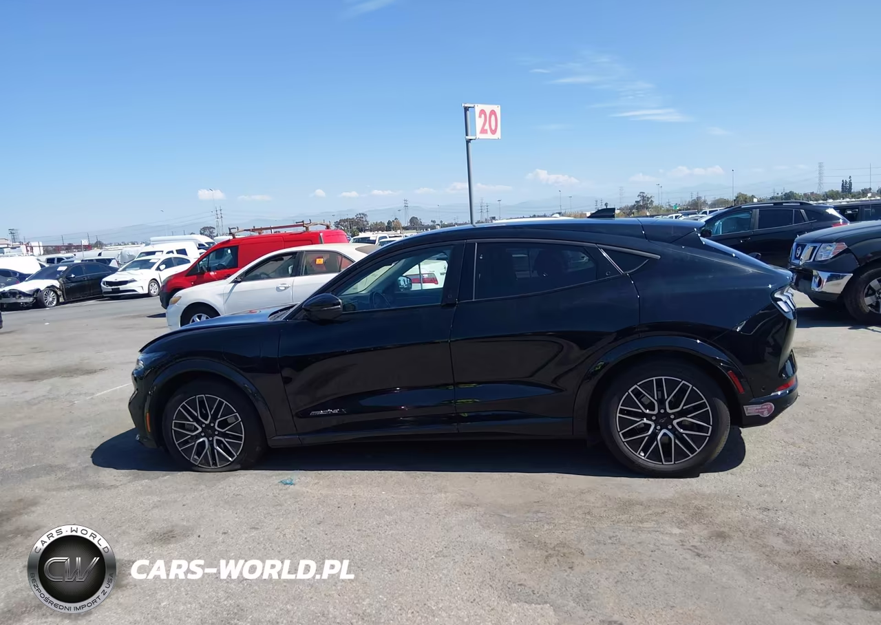 2024 Ford Mustang Mach-E Premium VIN:3FMTK3R70RMA22725 - 14