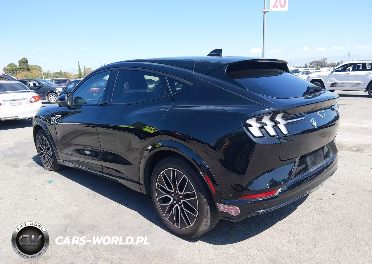 2024 Ford Mustang Mach-E Premium VIN:3FMTK3R70RMA22725 - 3