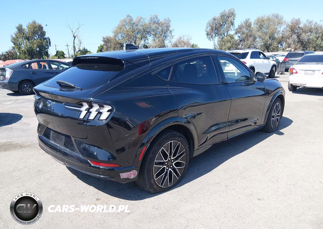 2024 Ford Mustang Mach-E Premium VIN:3FMTK3R70RMA22725 - 4