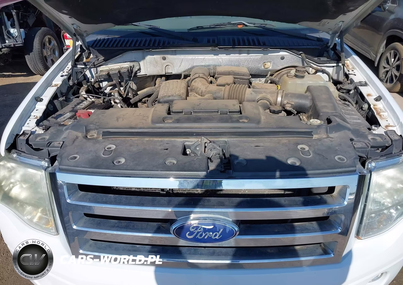 2010 Ford Expedition Xlt VIN:1FMJU1F50AEA94186 - 10