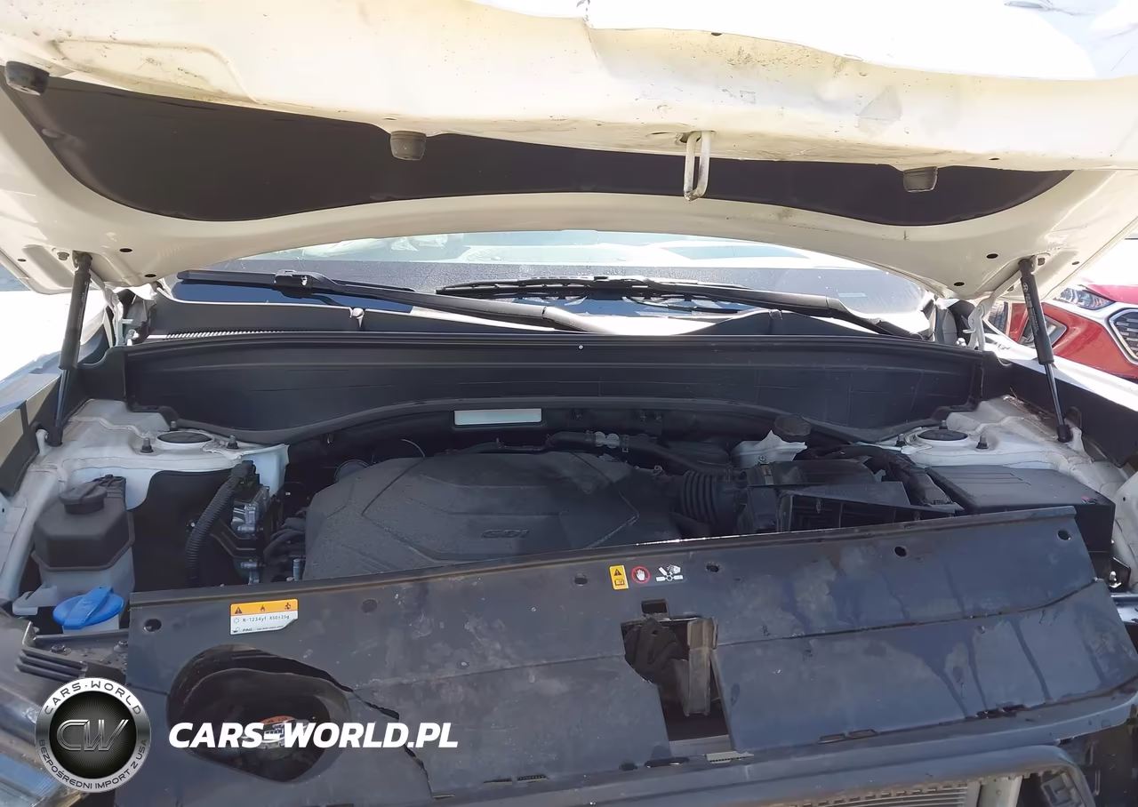 HYUNDAI PALISADE S VIN:KM8R1DHE9NU380057 - 10