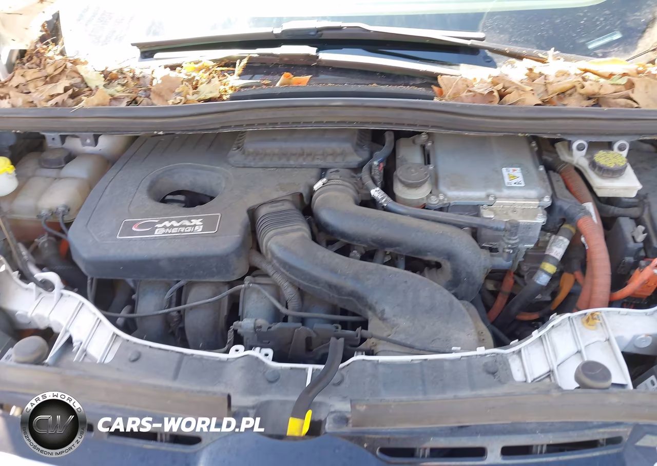 2016 Ford C-Max Energi Sel VIN:1FADP5CUXGL102512 - 10