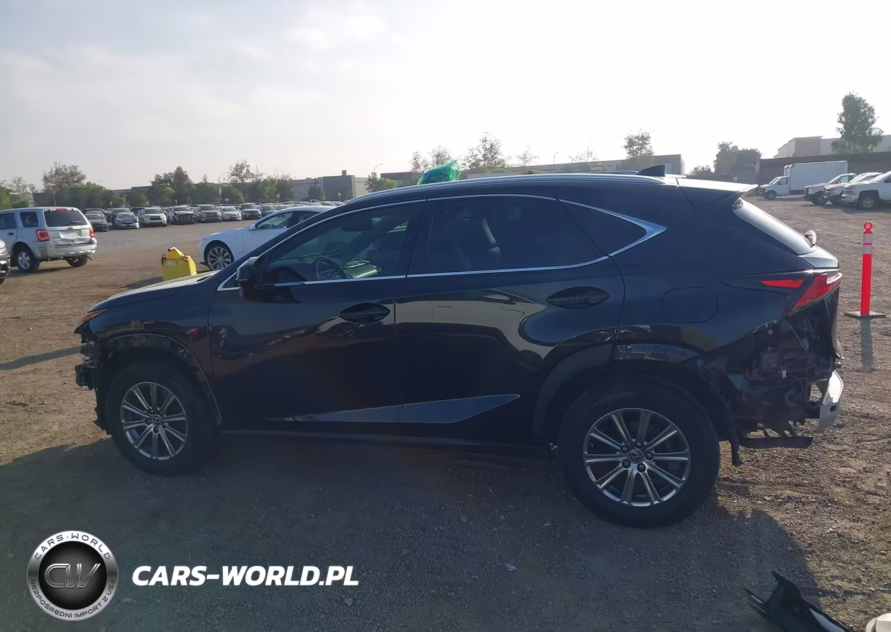2018 Lexus Nx 300 VIN:JTJYARBZ7J2111034 - 15
