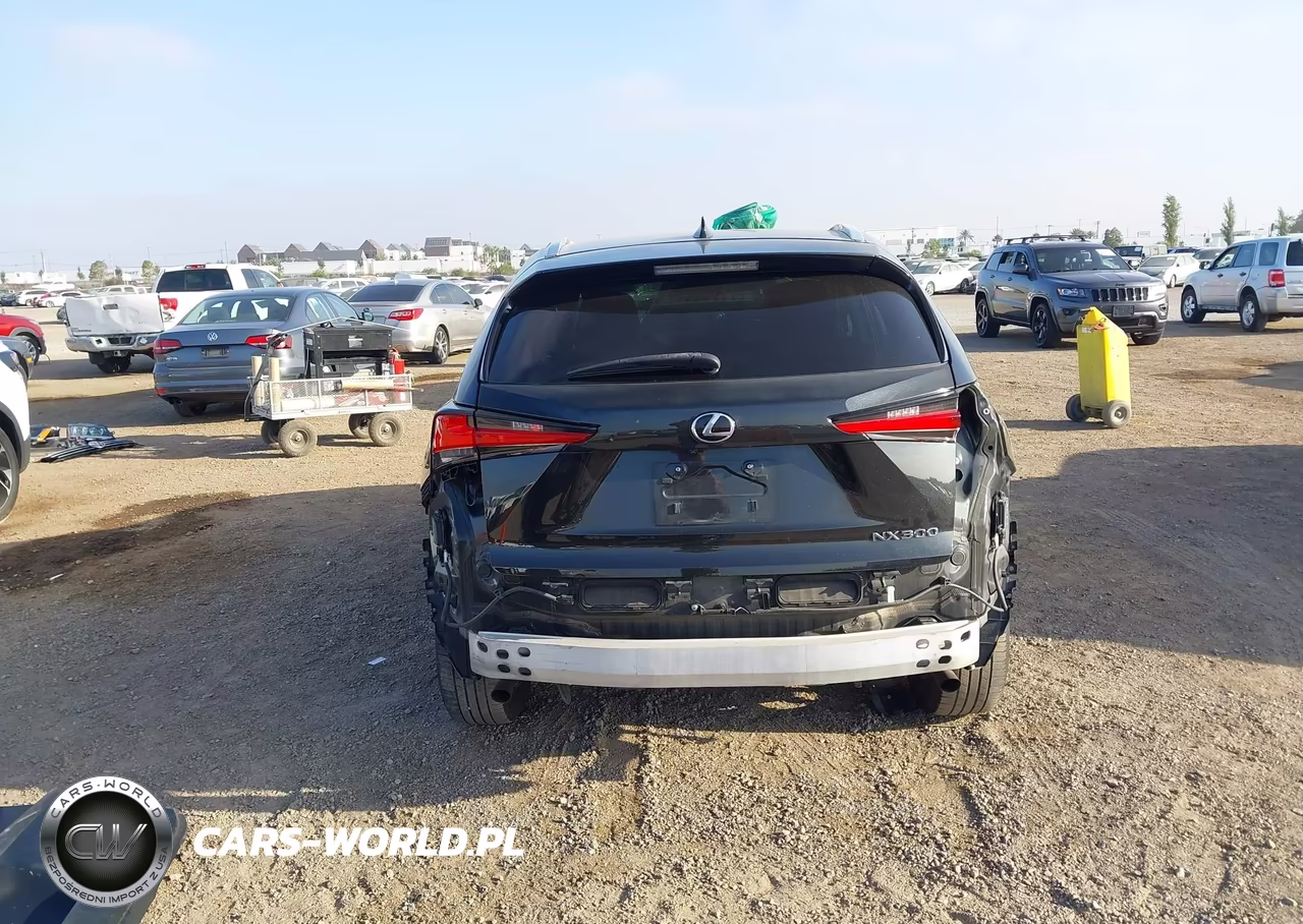 2018 Lexus Nx 300 VIN:JTJYARBZ7J2111034 - 17
