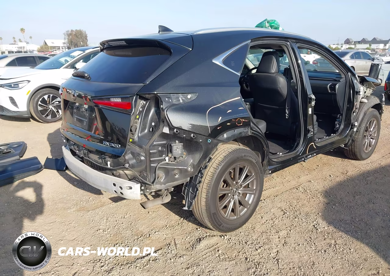 2018 Lexus Nx 300 VIN:JTJYARBZ7J2111034 - 19