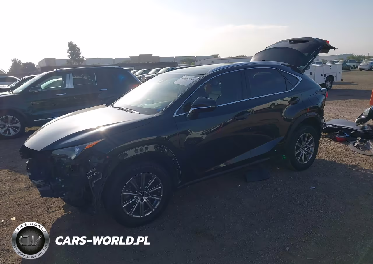 2018 Lexus Nx 300 VIN:JTJYARBZ7J2111034 - 2