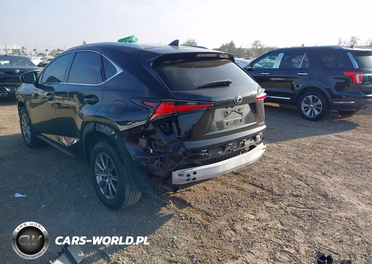 2018 Lexus Nx 300 VIN:JTJYARBZ7J2111034 - 20