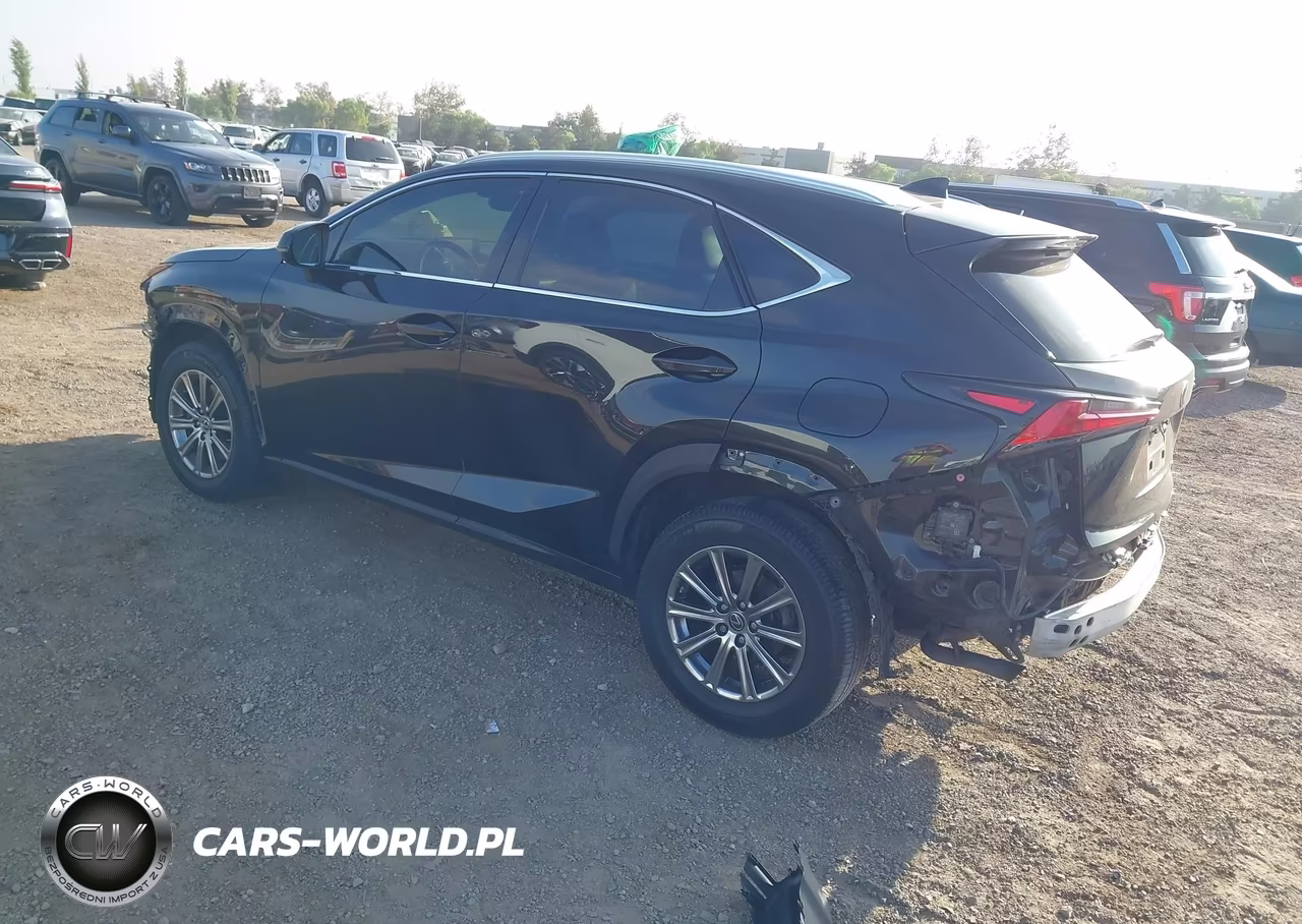 2018 Lexus Nx 300 VIN:JTJYARBZ7J2111034 - 3