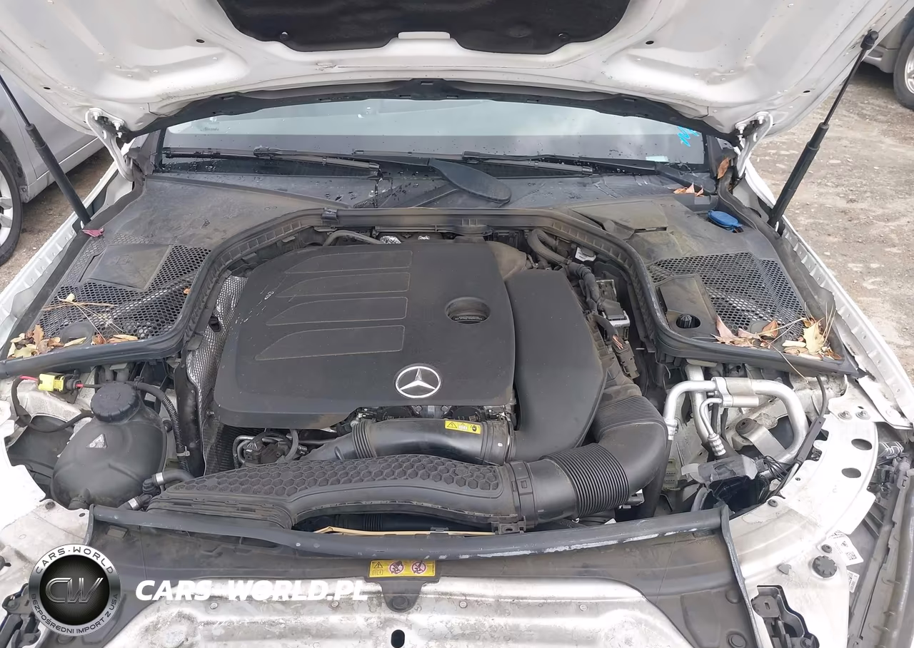 2019 Mercedes-Benz C 300 VIN:55SWF8DB8KU320723 - 10
