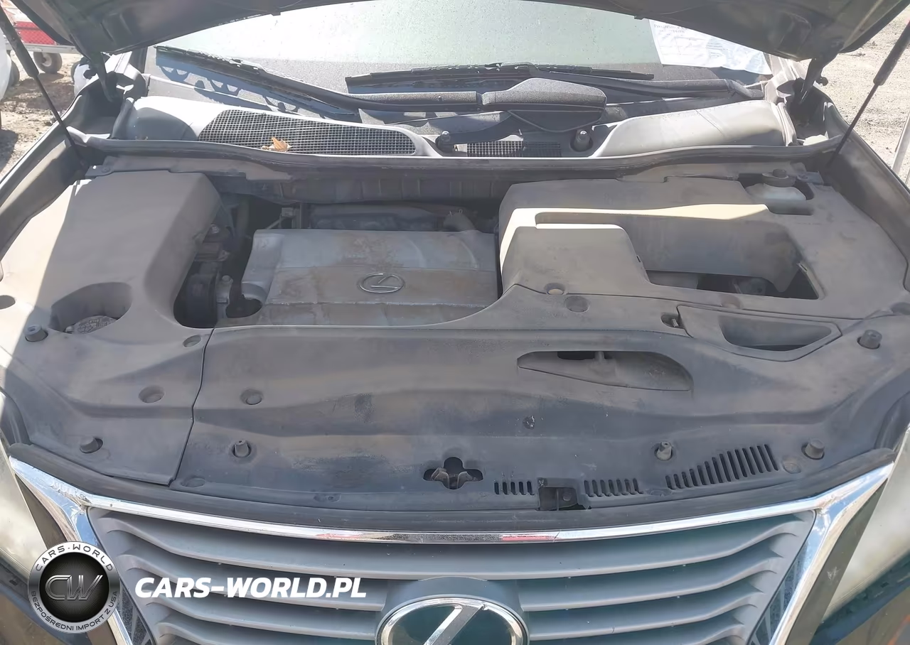 2013 Lexus Rx 350 VIN:JTJZK1BAXD2007414 - 10