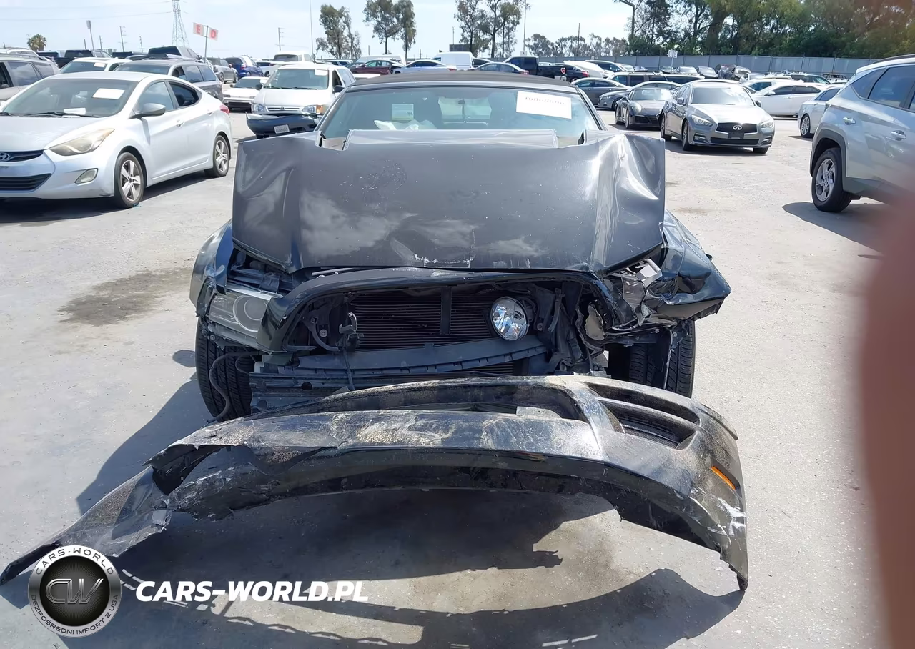 2013 Ford Mustang Gt Premium VIN:1ZVBP8FF2D5226982 - 12