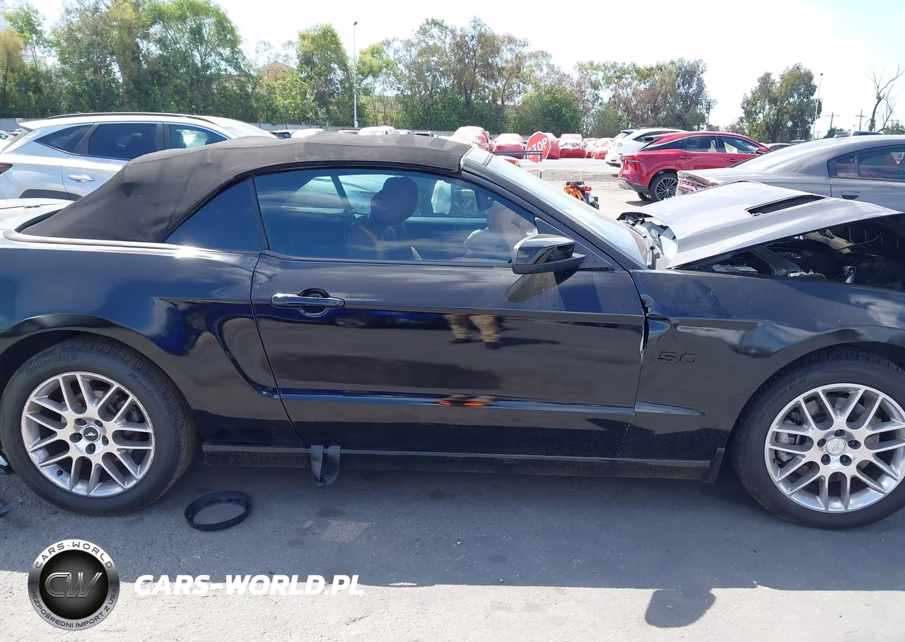 2013 Ford Mustang Gt Premium VIN:1ZVBP8FF2D5226982 - 13