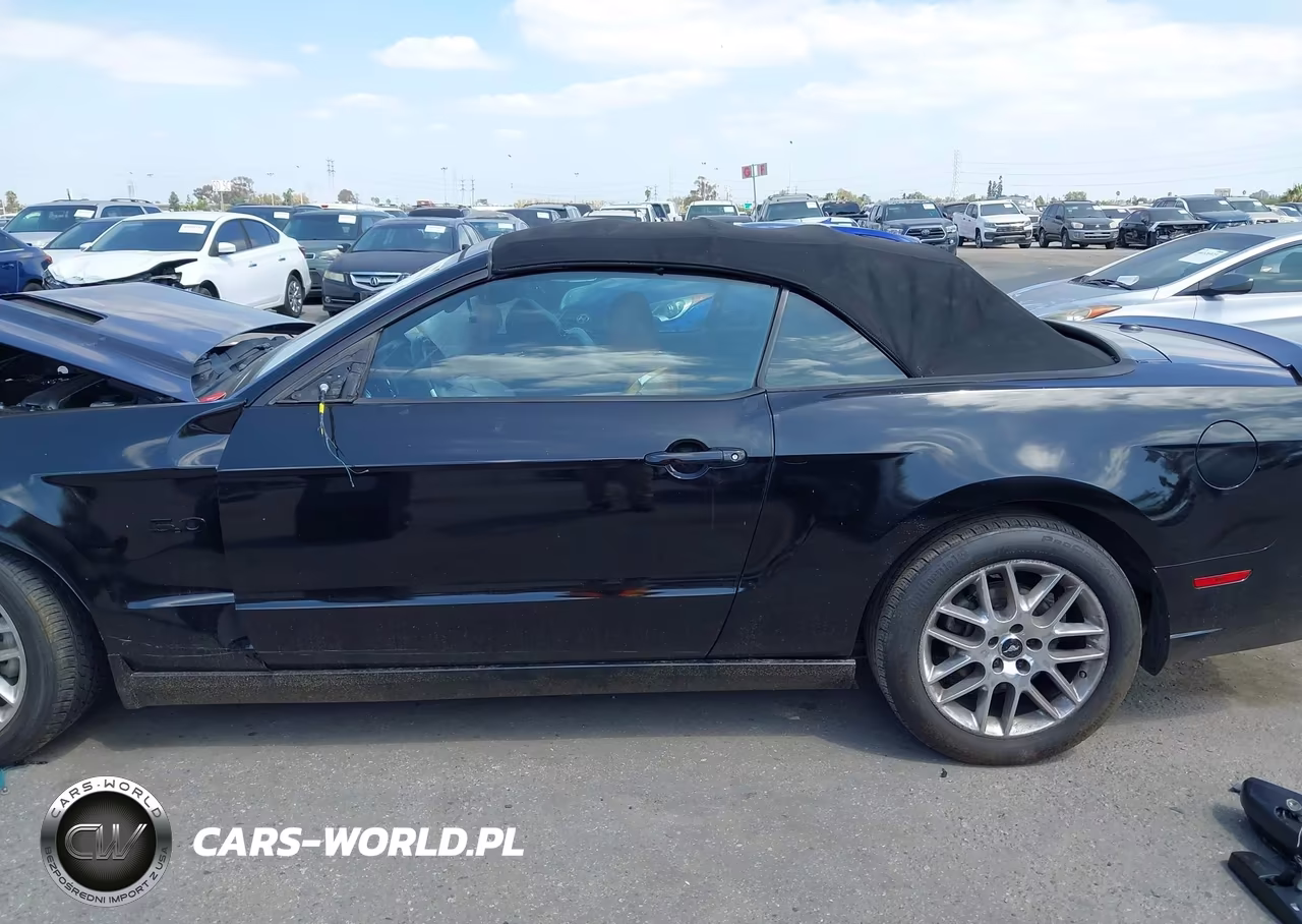 2013 Ford Mustang Gt Premium VIN:1ZVBP8FF2D5226982 - 14