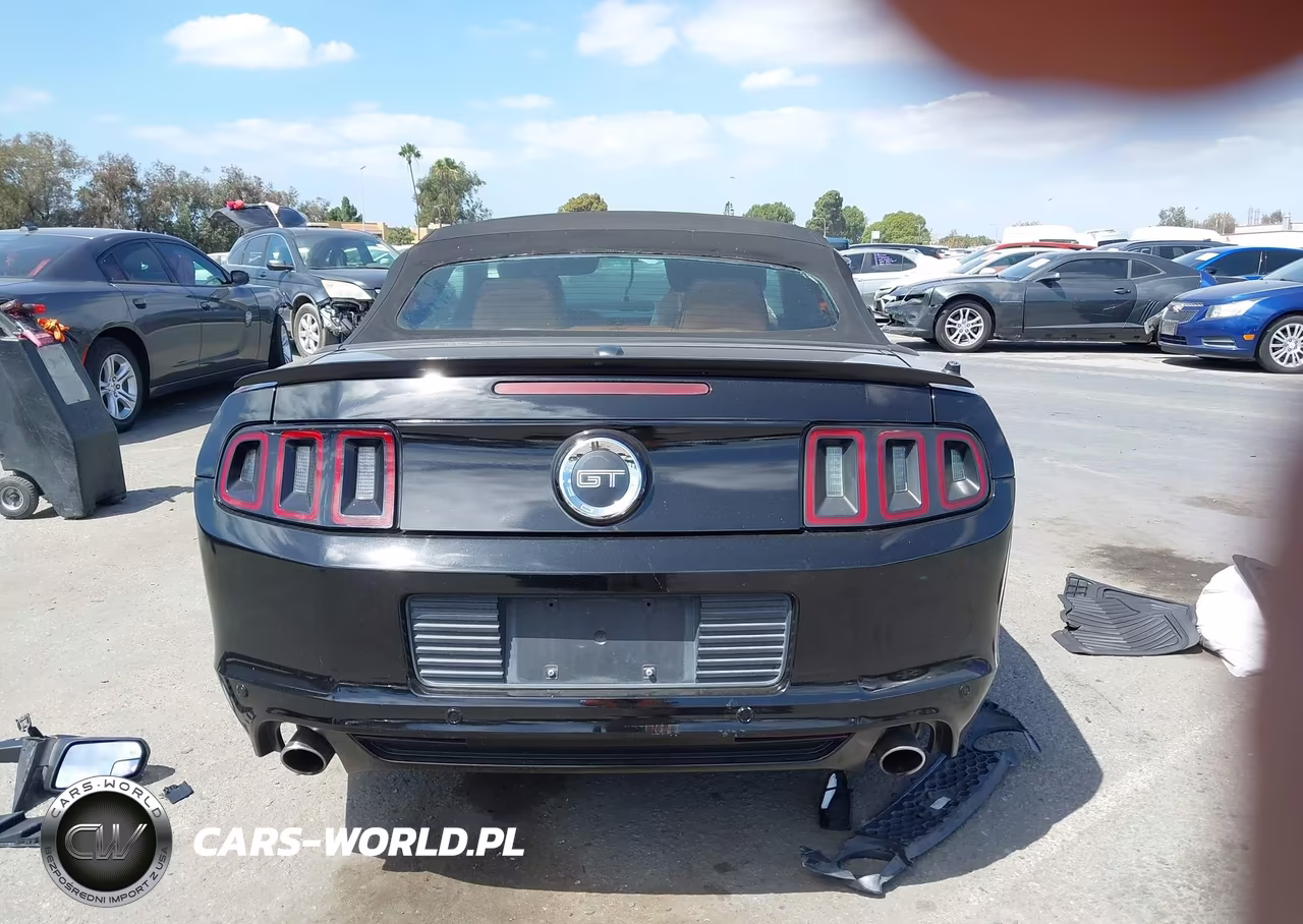 2013 Ford Mustang Gt Premium VIN:1ZVBP8FF2D5226982 - 16