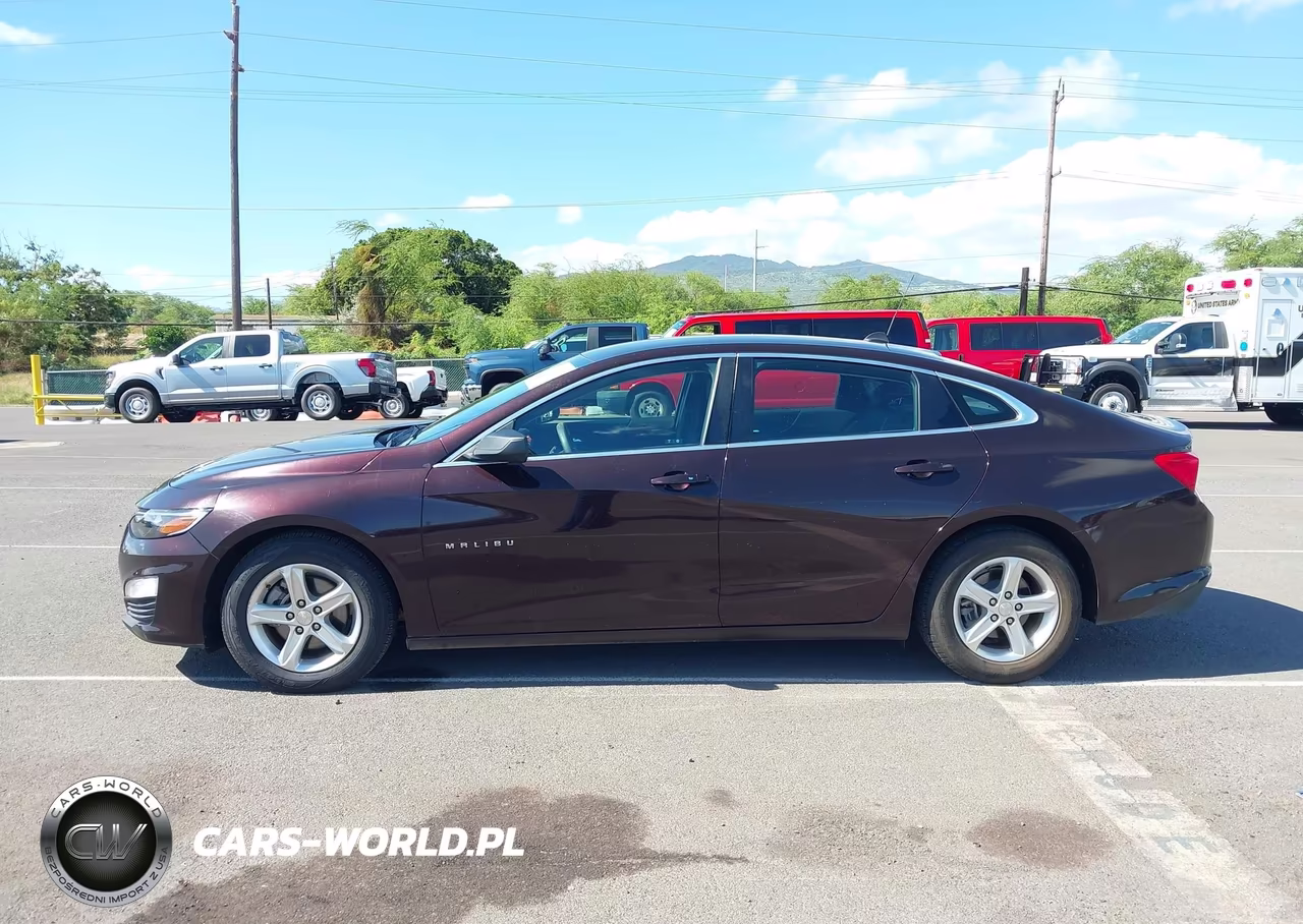 2020 Chevrolet Malibu Fwd 1Fl VIN:1G1ZC5ST4LF131414 - 19