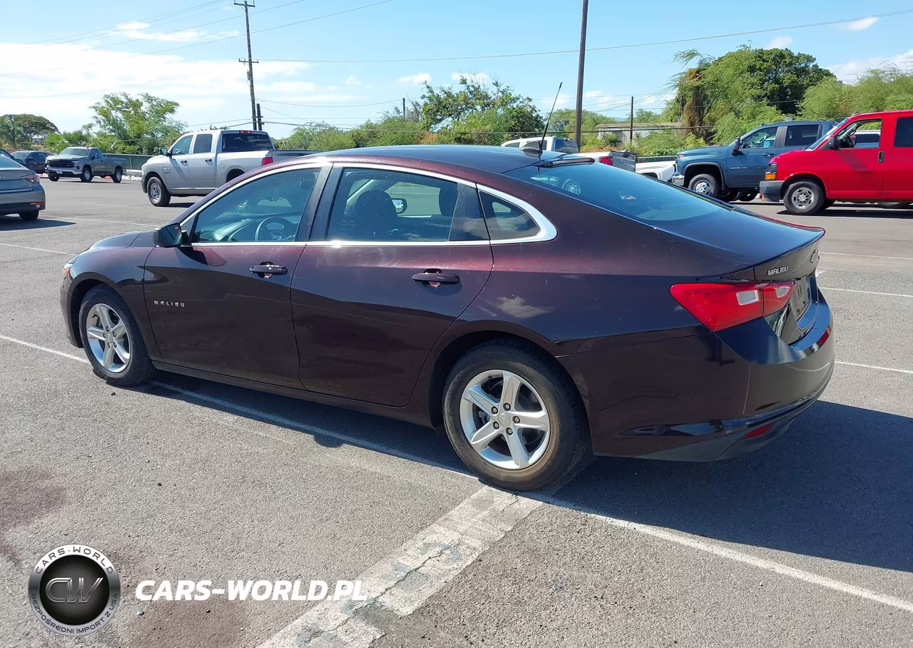 2020 Chevrolet Malibu Fwd 1Fl VIN:1G1ZC5ST4LF131414 - 3
