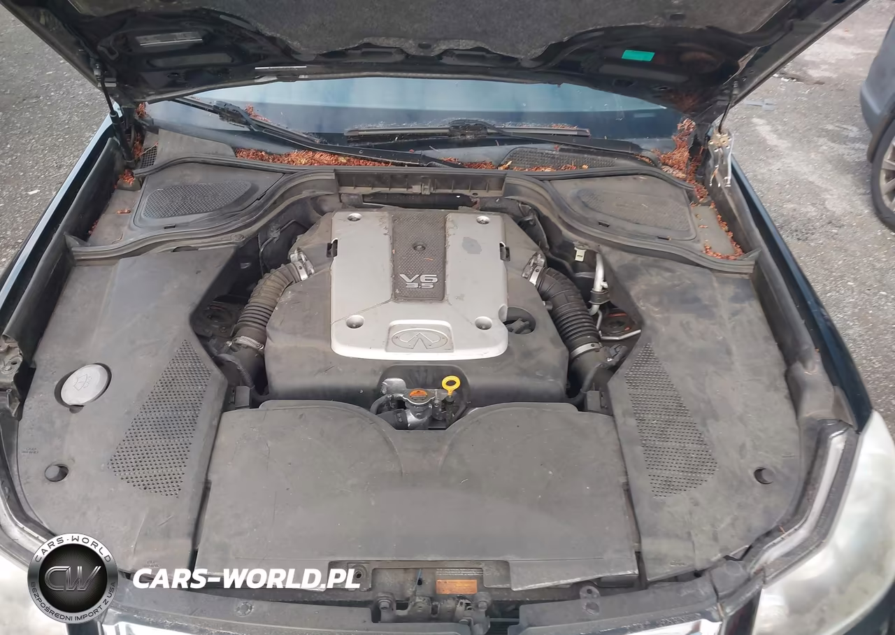 2009 Infiniti M35X VIN:JNKCY01F19M851317 - 10