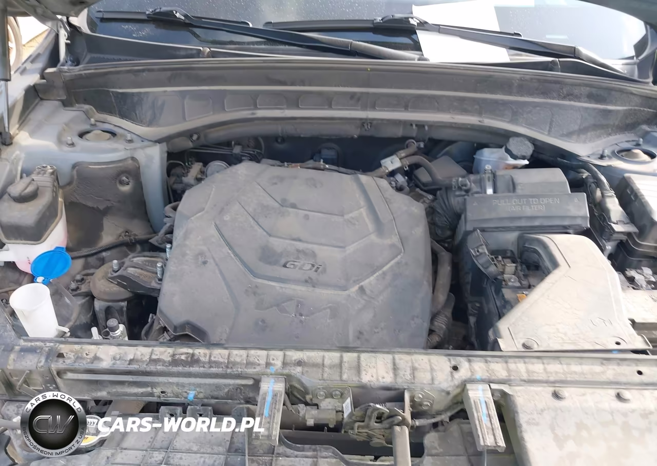 2023 Kia Telluride Sx Prestige X-Pro VIN:5XYP5DGC3PG380320 - 10