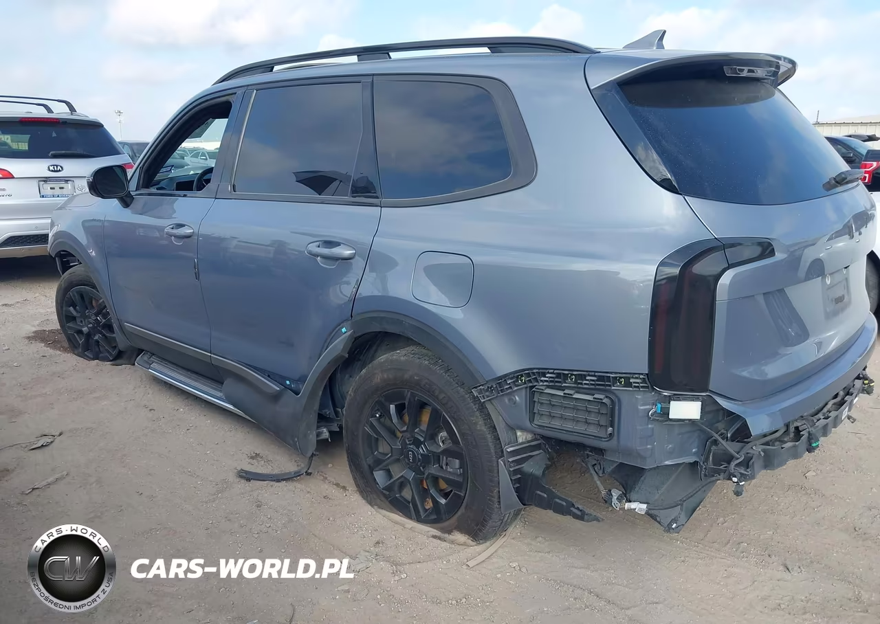 2023 Kia Telluride Sx Prestige X-Pro VIN:5XYP5DGC3PG380320 - 3