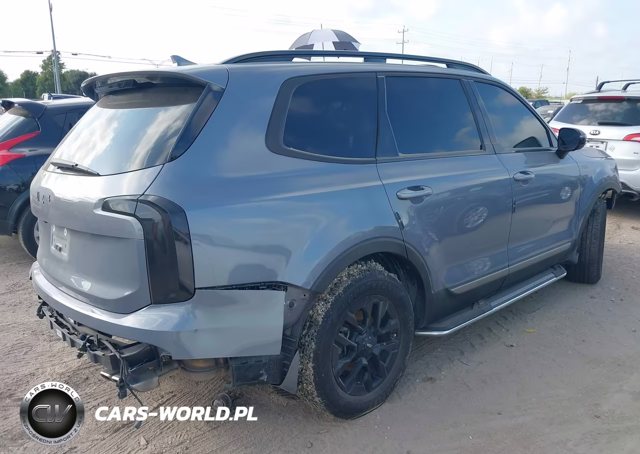 2023 Kia Telluride Sx Prestige X-Pro VIN:5XYP5DGC3PG380320 - 4