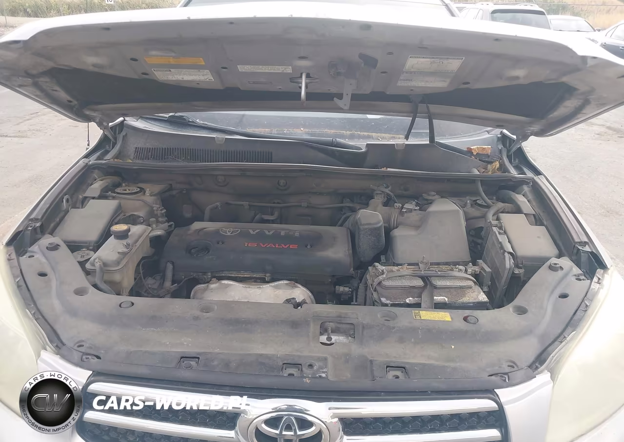 2008 Toyota Rav4 Limited VIN:JTMZD31V786074824 - 10