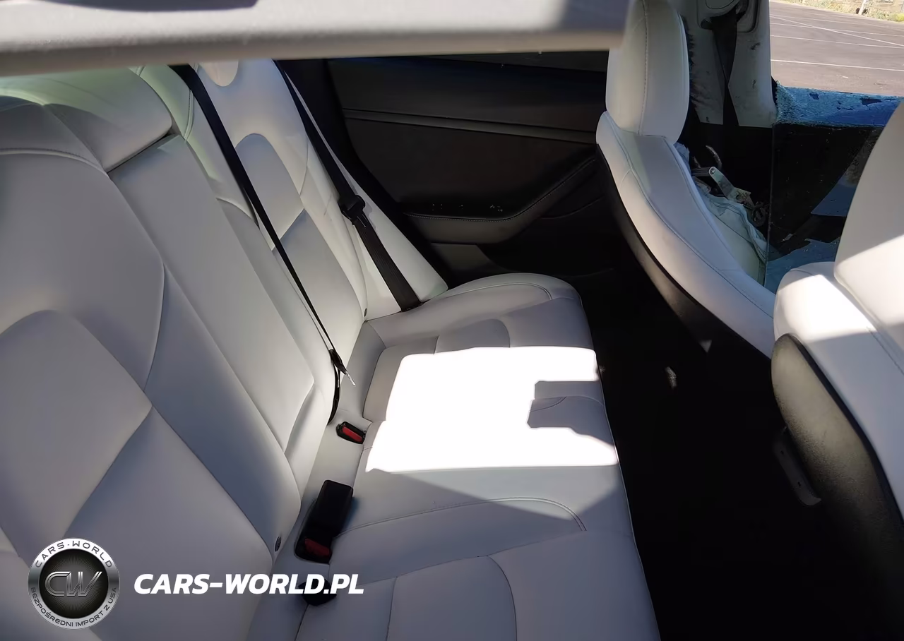 2021 Tesla Model 3 Standard Range Plus Rear-Wheel Drive VIN:5YJ3E1EA1MF048880 - 8