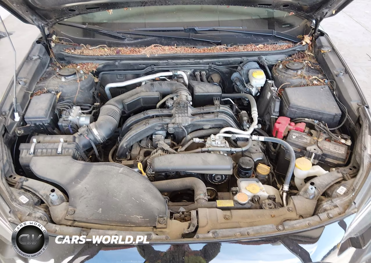2024 Subaru Outback VIN:4S4BTAAC3R3253478 - 10