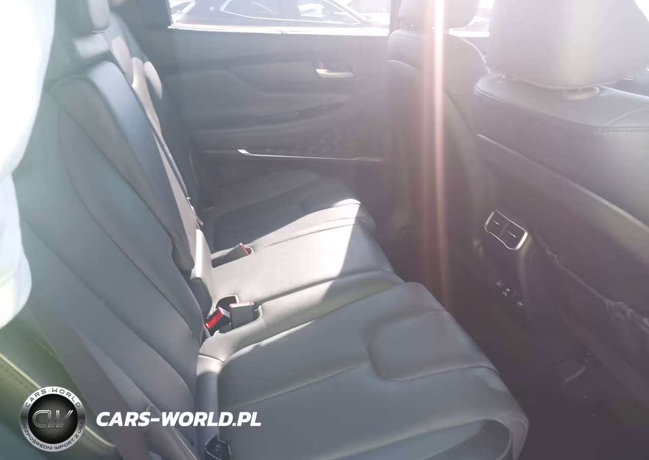 2023 Hyundai Santa Fe Limited VIN:5NMS4DALXPH538017 - 8