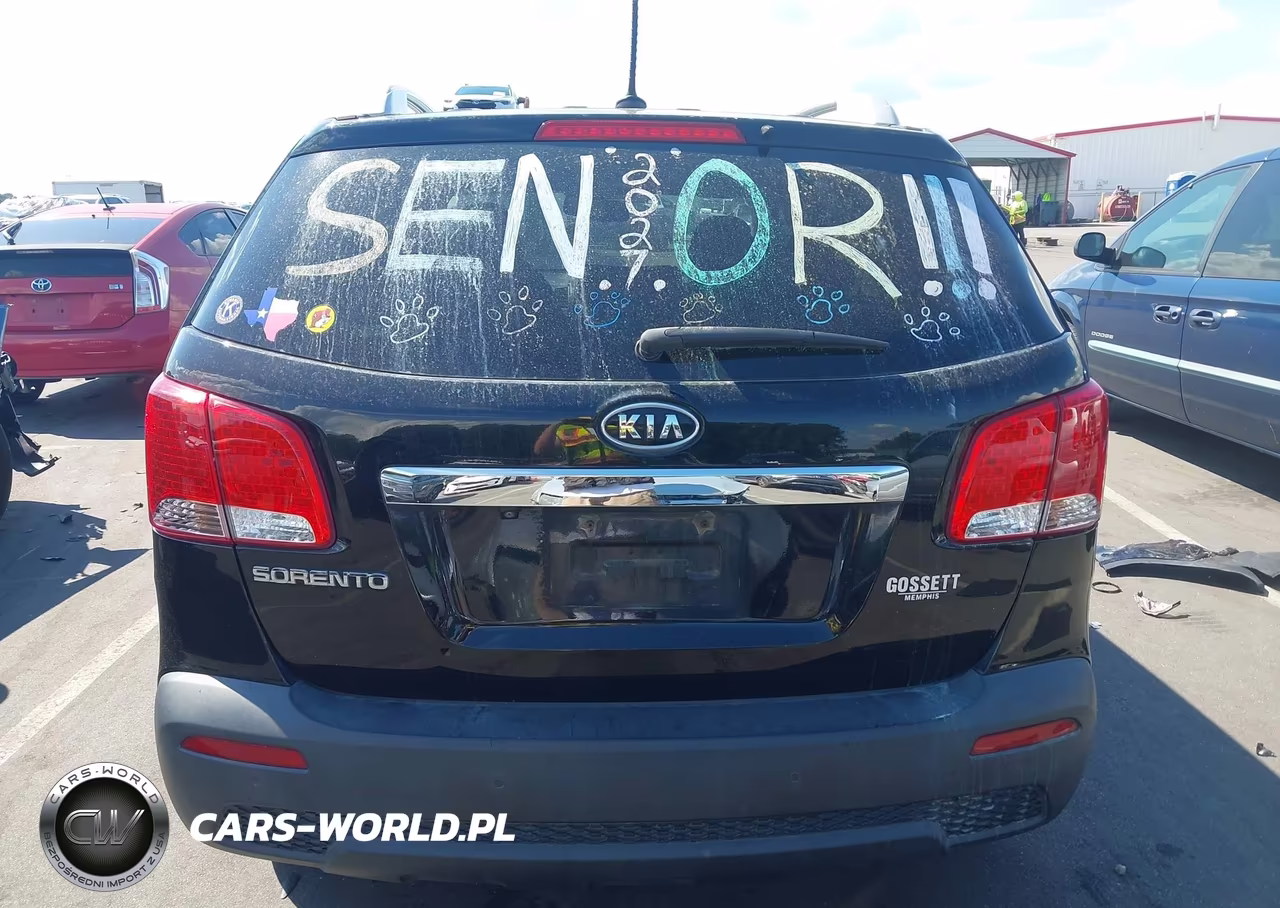 2011 Kia Sorento Lx VIN:5XYKTCA16BG141435 - 17